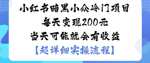 小红书暗黑小众冷门项目每天变现2张当天可能就会有收益-水滴知识网