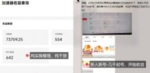 游戏加速器项目4.0_最新打法思路(爱玩游戏也能边玩边被动收益)-水滴知识网