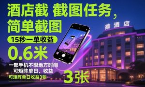 酒店截图任务,简单截图,15秒一单收益0.6米,一部手机不限地方时间,可矩阵单日收益3张【揭秘】-水滴知识网