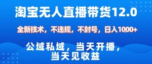 淘宝无人直播12.0,公域私域技术,不封号,不违规布局双十一流量风口,日入1k(独家技术)【揭秘】-水滴知识网