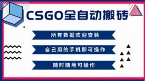 CSGO全自动搬砖，年底钱回家好项目，当天可拿到结果，新手小白轻松月入1W+【揭秘】-水滴知识网