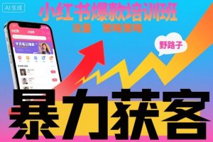 小红书爆款培训班，小红书获客野路子流量打法，暴力持续获客-水滴知识网