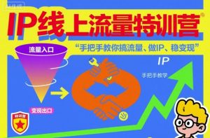 IP线上流量特训营,手把手教你搞流量、做IP、稳变现-水滴知识网