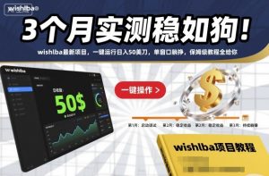 3个月实测稳如狗!wishlba最新项目,一键运行日入50美刀,单窗口躺挣,保姆级教程全给你【揭秘】-水滴知识网