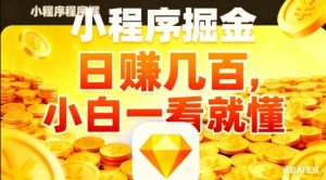 微信小程序掘金项目，日入几张，项目简单，小白一看就懂，5分钟就能学会上手操作【揭秘】-水滴知识网