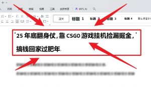 25年底翻身仗,靠CSGO游戏挂G捡漏掘金,搞钱回家过肥年【揭秘】-水滴知识网