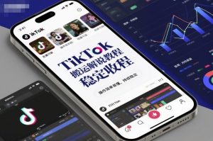 TikTok搬运解说教程,稳定收益,操作简单易懂,批量可做,持续稳定-水滴知识网