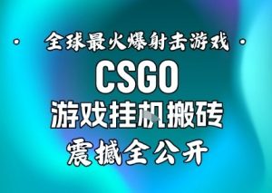 【年底大揭秘】基于全球最火爆的射击CSGO游戏挂G搬砖，日入5张+，震撼公开-水滴知识网