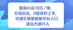 番茄小说10米每单,实拍玩法,0成本好上手,详细实操教程和平台入口适合大部分人-水滴知识网