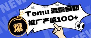 专注于Temu商家提供精准曝光浏览量，助力店铺排名提升和转化，单机日收入80-130【揭秘】-水滴知识网