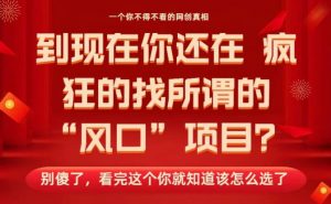 马上26年了,你还在找所谓的风口项目?别傻了,看完这个你全都懂了!【揭秘】-水滴知识网