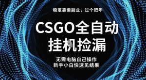 【稳定副业】全球最热门游戏CSGO全自动捡漏,最新玩法,新手小白日入5张+【揭秘】-水滴知识网
