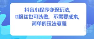 抖音小程序变现玩法，0粉丝也可以做，不需要成本，简单的玩法教程-水滴知识网