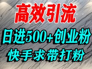 怎么打创业粉？快手求带视角精准引流创业粉，宝妈、学生群体日进500+精准流量-水滴知识网