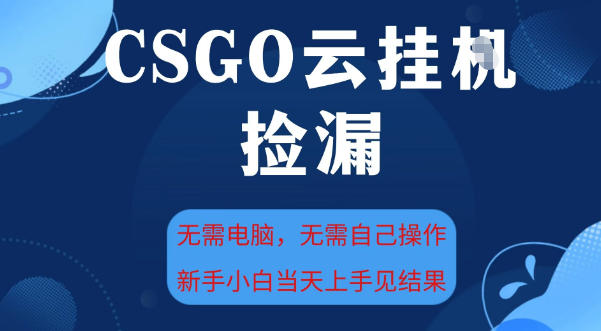 CSGO云挂G全自动捡漏,最新独家玩法,无需电脑操作,新手小白日入5张+【揭秘】-水滴知识网