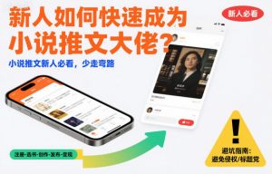 新人如何快速成为小说推文大佬?小说推文新人必看,少走弯路-水滴知识网