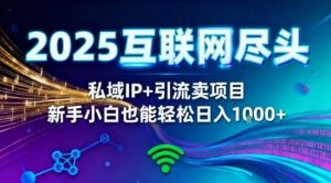 2025网创尽头王炸项目!私域IP+精准引流,新手小白在家躺賺日入1k,零经验也能上手【揭秘】-水滴知识网