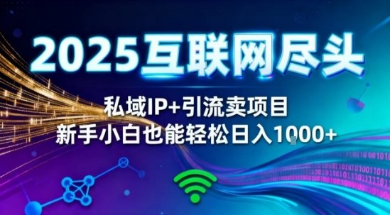 2025网创尽头王炸项目!私域IP+精准引流,新手小白在家躺賺日入1k,零经验也能上手【揭秘】-水滴知识网