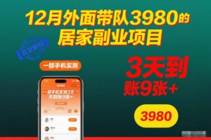 12月外面带队3980的居家副业项目,一部手机实测3天到账9张+,首发教程【揭秘】-水滴知识网