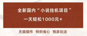 全新国内小说挂G项目，多窗口无脑跑，一天轻松1k+，特别省心【揭秘】-水滴知识网