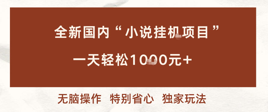全新国内小说挂G项目，多窗口无脑跑，一天轻松1k+，特别省心【揭秘】-水滴知识网