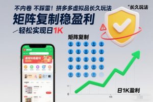 不内卷不踩雷！拼多多虚拟品长久玩法，矩阵复制稳盈利，轻松实现日1K【揭秘】-水滴知识网