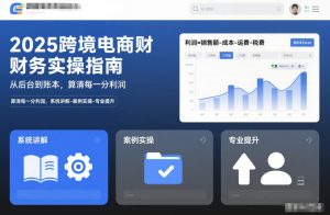 2025跨境电商财务实操指南,从后台到账本,算清每一分利润,系统讲解-案例实操-专业提升-水滴知识网