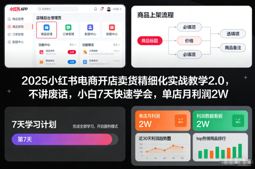 2025小红书电商开店卖货精细化实战教学2.0,不讲废话,小白7天快速学会,单店月利润2W-水滴知识网
