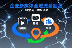 短视频全域商业模式，企业新媒体全域流量掘金，3域协同，共振破屏，短视频-直播-私域-地域-水滴知识网