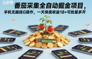 番茄采集全自动掘金项目，手机无脑挂G操作，一天保底收益18+可批量多开【揭秘】-水滴知识网