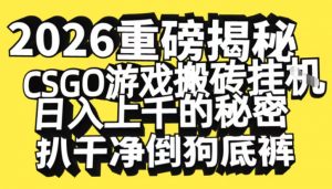 2026开年重磅解密,CSGO游戏搬砖挂G日入1k+的秘密,把倒狗的底裤扒干【揭秘】-水滴知识网