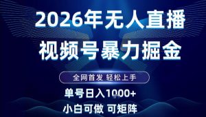 2026最新视频号无人直播掘金,全网首发,小白可以玩,长期稳定日入1k+【揭秘】-水滴知识网