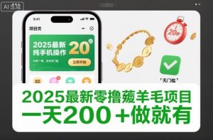 2025最新零撸薅羊毛项目,纯手机操作,20秒一单,无任何门槛,一天200+做就有【揭秘】-水滴知识网
