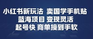 小红书新玩法，卖国学手机贴，蓝海项目，变现灵活，起号快，商单接到手软-水滴知识网
