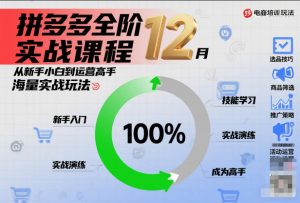 拼多多全阶实战课程12月,从新手小白到运营高手,海量实战玩法-水滴知识网