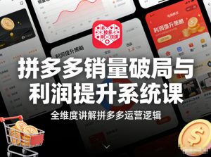 拼多多销量破局与利润提升系统课,全维度讲解拼多多运营逻辑-水滴知识网