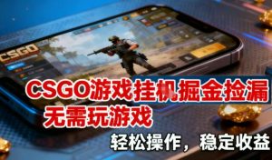 CSGO游戏挂G掘金捡漏,不需要玩游戏,操作简单,收益稳定【揭秘】-水滴知识网