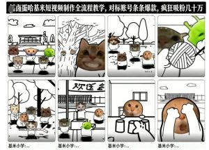 卤蛋哈基米短视频制作全流程教学，条条爆款，疯狂吸粉几十万-水滴知识网