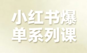 小红书爆单系列课,聚焦小红书电商全链路增长(更新)-水滴知识网