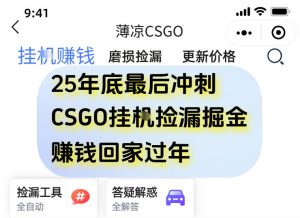 12月年底抓紧最后一个月,用CSGO游戏挂G捡漏掘金賺钱掘金,一部手机轻松日入5张+【揭秘】-水滴知识网