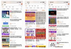 小红书SEO虚拟电商陪跑教程,实现seo搜索被动流量,自动成交的被动收入睡后项目-水滴知识网