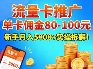 流量卡推广,单卡佣金80-100,新手月入5k+实操拆解!-水滴知识网