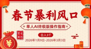 春节暴利风口项目，单人AI落地翻身终极版实操-水滴知识网