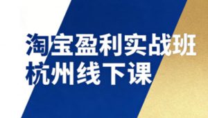 淘宝盈利实战班杭州线下课12月26-28日(音频+字幕),帮你掌握SOP流程+12门核心技术-水滴知识网