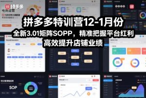 拼多多特训营12-1月份,全新3.01矩阵Sop,精准把握平台红利,高效提升店铺业绩-水滴知识网