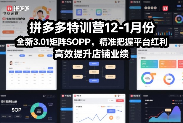 拼多多特训营12-1月份,全新3.01矩阵Sop,精准把握平台红利,高效提升店铺业绩-水滴知识网