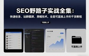 SEO野路子实战全集：快速收录、站群霸屏、黑帽技术，全是可直接上手的干货教程-水滴知识网