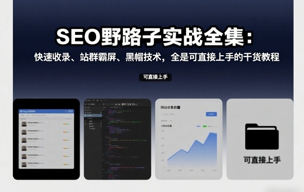 SEO野路子实战全集:快速收录、站群霸屏、黑帽技术,全是可直接上手的干货教程-水滴知识网