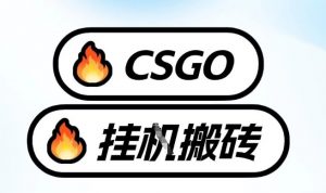 真全网独家CSGO挂G，最新玩法,单日捡漏1K+，不用电脑，不用打游戏【揭秘】-水滴知识网