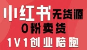 小红书无货源0粉电商课,开店准备、选品策略、笔记撰写、视频剪辑、数据分析、账号打造、资料文档(更新)-水滴知识网